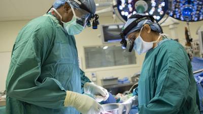 physicians performing kidney transplant