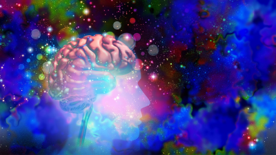 magic mushrooms effects on brain