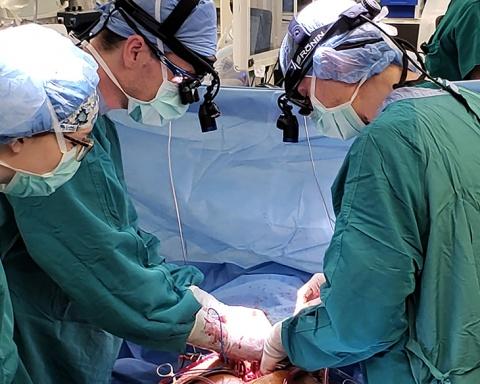 Surgeons performing a surgery