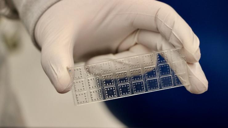 gloved hand holding a test assay