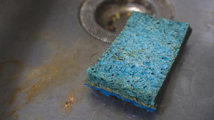 nasty old sponge in a dirty sink