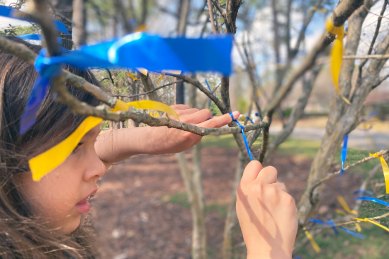 Young girl tying blue and yellow ribbons to branches of a tree or bush.