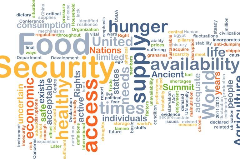 word collage of words relating to food security and hunger.