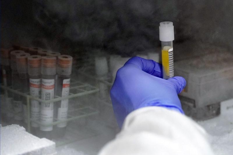 Gloved hand removing test tube from a freezer