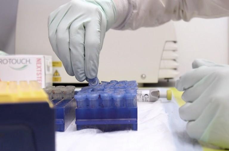 gloved hands selecting vial from a rack of vials.