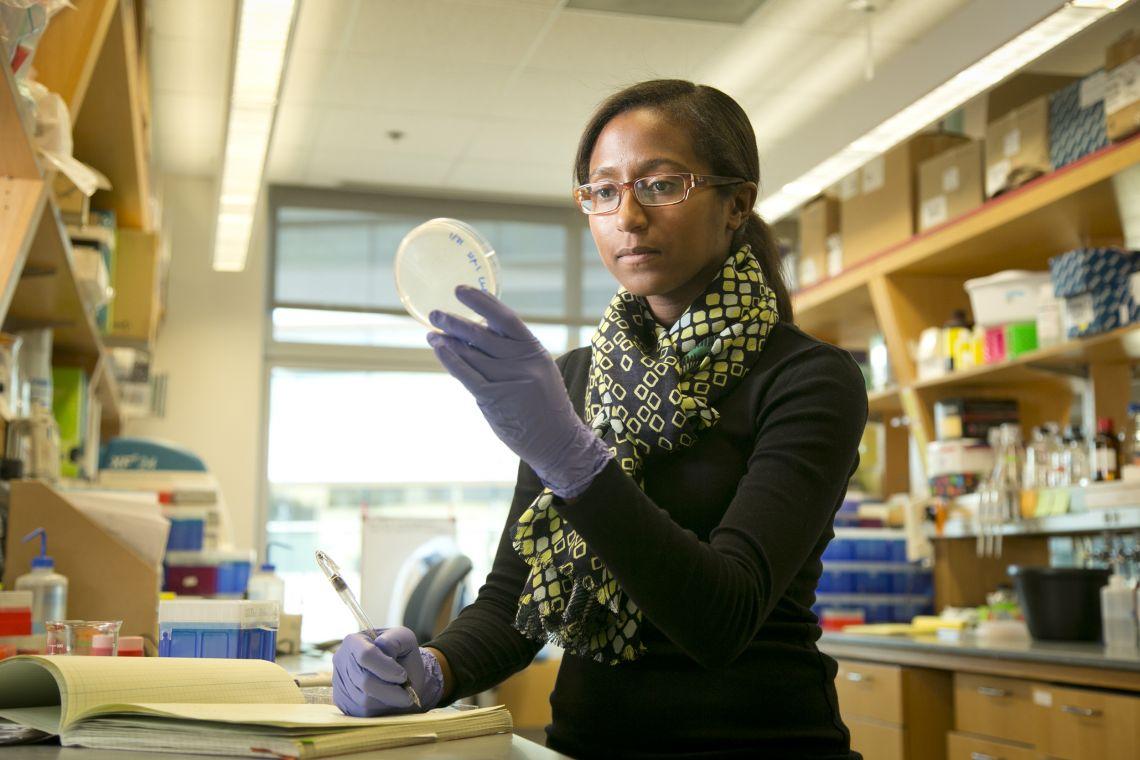Black woman researcher in a lab examining a petri dish and taking notes.