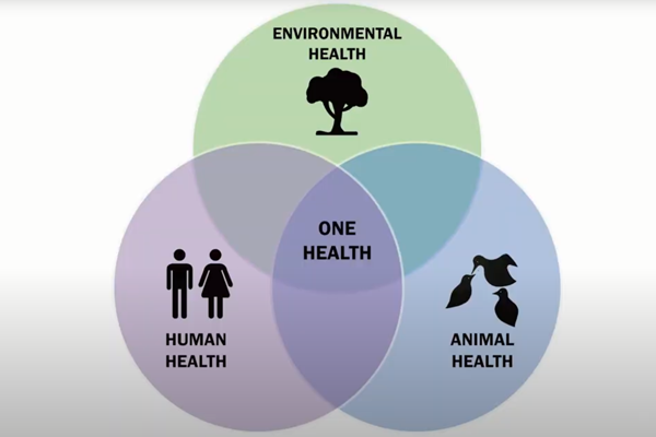 Venn Diagram - circles of human health, environmental health, and animal health all overlap over One Health