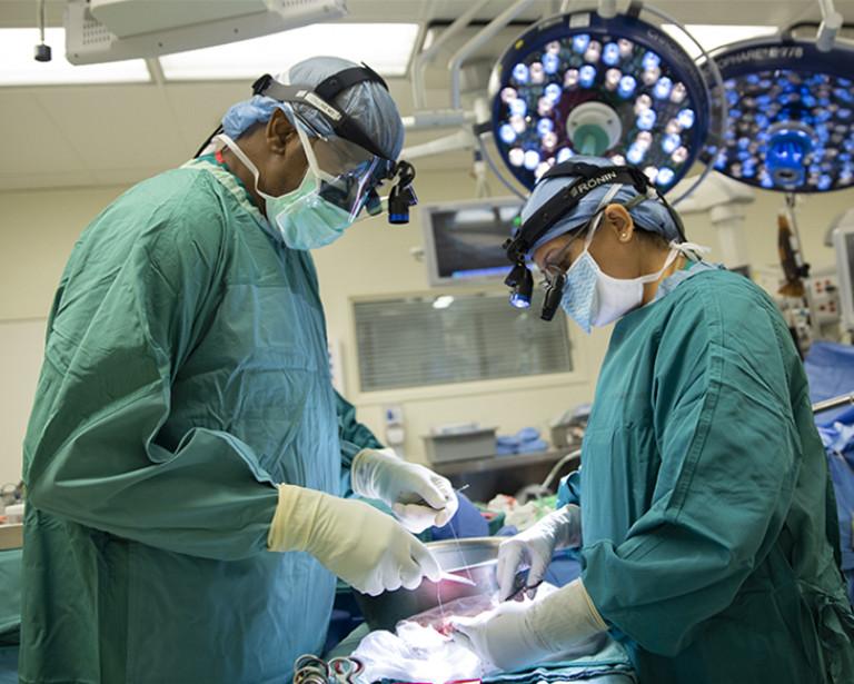 HIV-Kidney Transplant - Duke Health