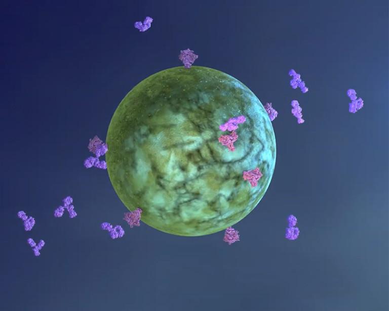 Rendering of an HIV virus