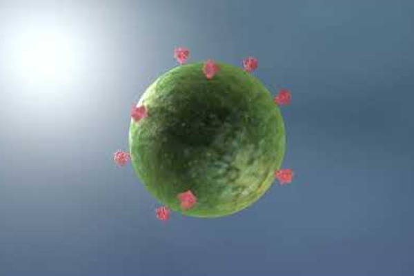 rendering of a virus