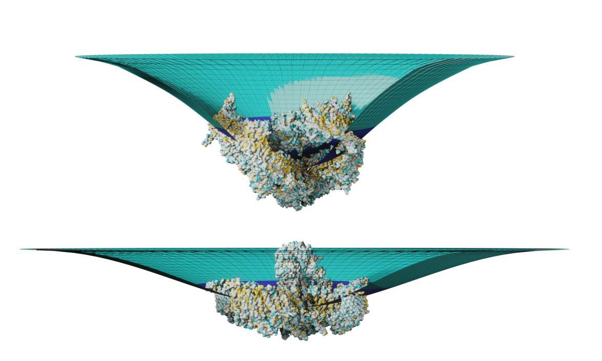 Image of clustered sensors on an unstimulated surface, and flattened cluster on a stimulated surface