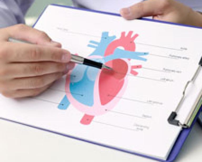 A provider points out chambers of the heart on an illustration