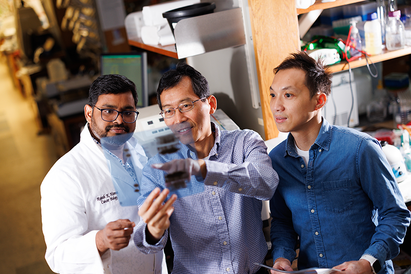 Rajeshkumar Manne, PhD, Hui-Kuan Lin, PhD, and Che-Chia Hsu, PhD