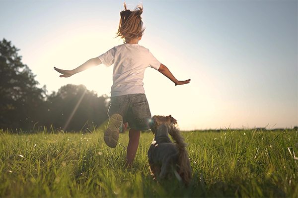 View from behind of a young child and small dog running across a grassy field into the sun