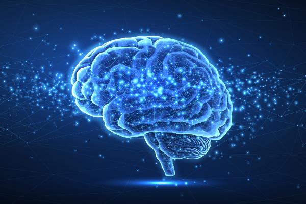 Stock drawing of a brain in blues and white