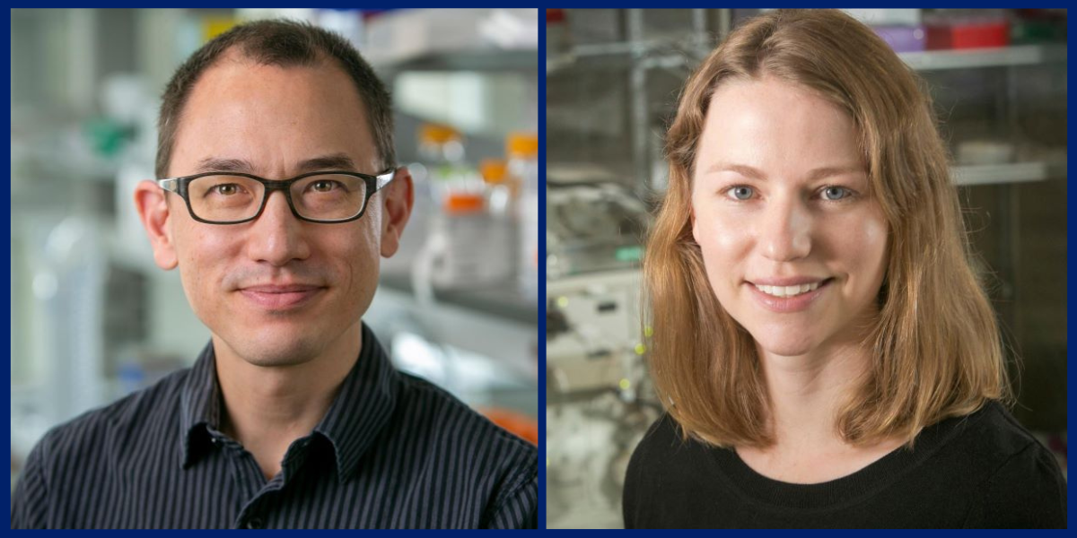 Ed Miao, MD, PhD and Emily Derbyshire, PhD