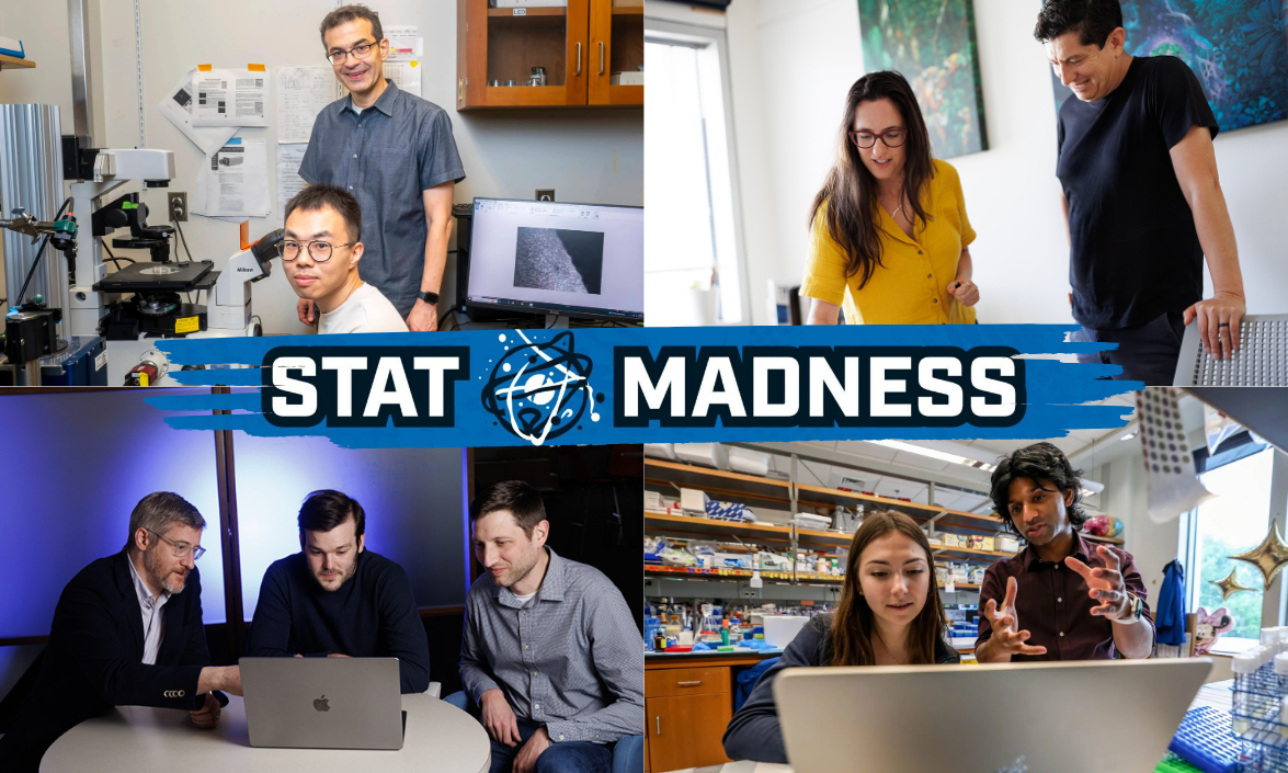 Graphic of STAT Madness research teams