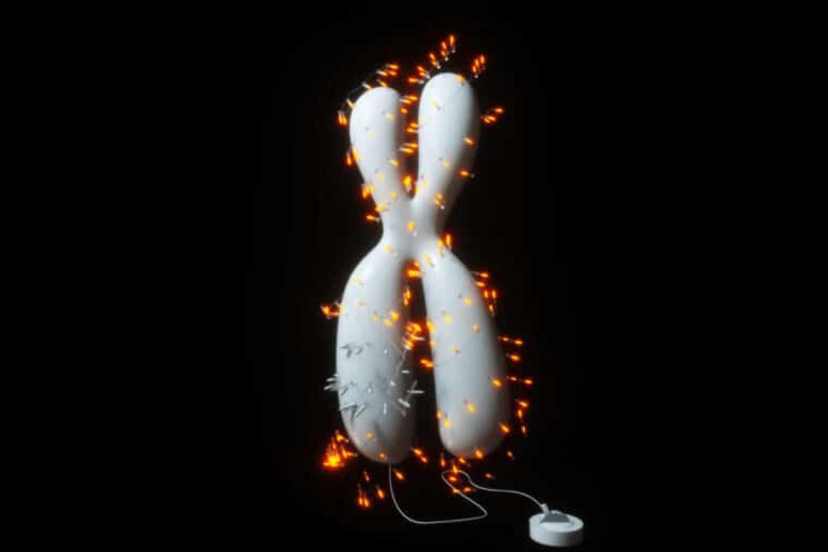 Chromosome with lights around it