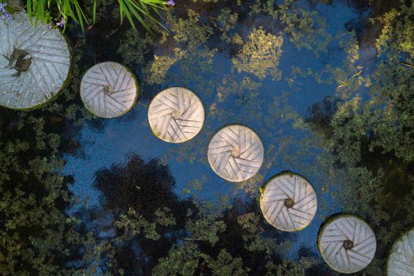 Millstones as stepping stones across a pond