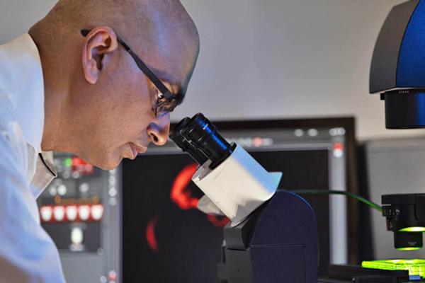 Sandeep Dave looking into a microscope