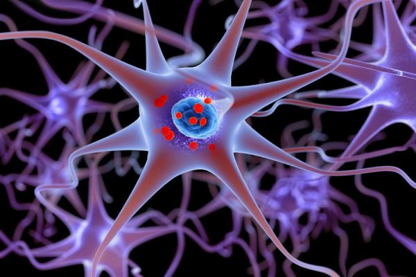 3D illustration showing neurons