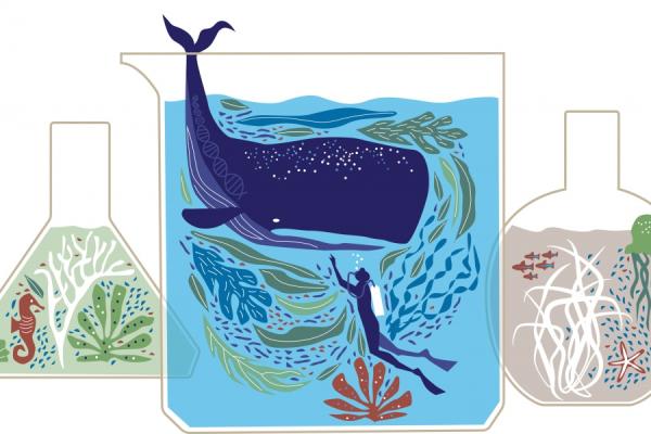 marine life illustration