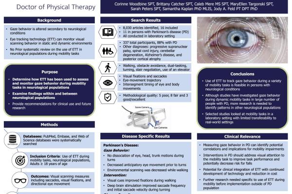 Poster 6