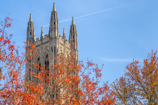 AAMC 2024 Leadership And Management Foundations For Academic Medicine   Stock.chapel.autumn 