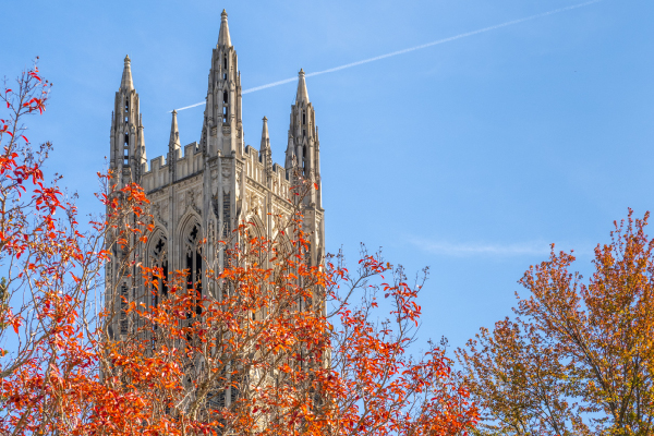 Duke chapel tower against the sky, autumn leaves in the foreground