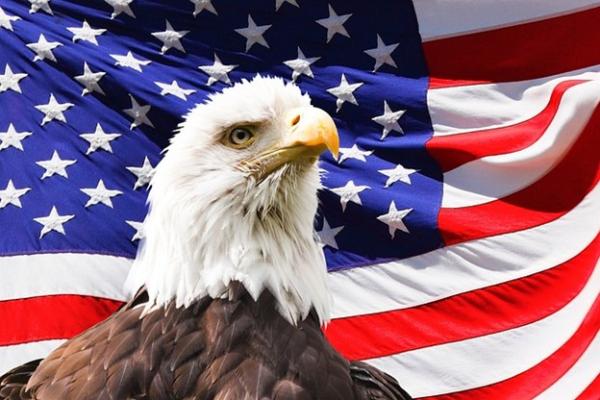 Eagle on American flag background