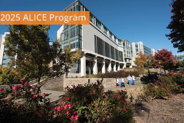 "2025 ALICE Program" on Trent Semans background