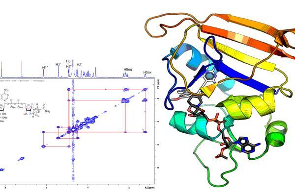 Chiral Protein