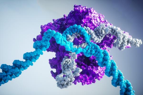 3D rendering of DNA andwith a protein molecule attached