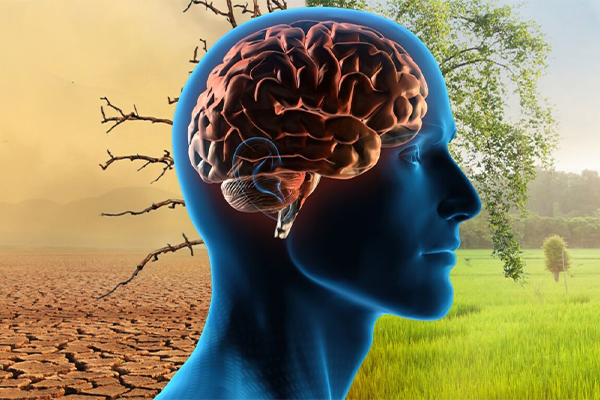 stylized graphic of the brain inside a head superimposed between a desert and pastoral view.