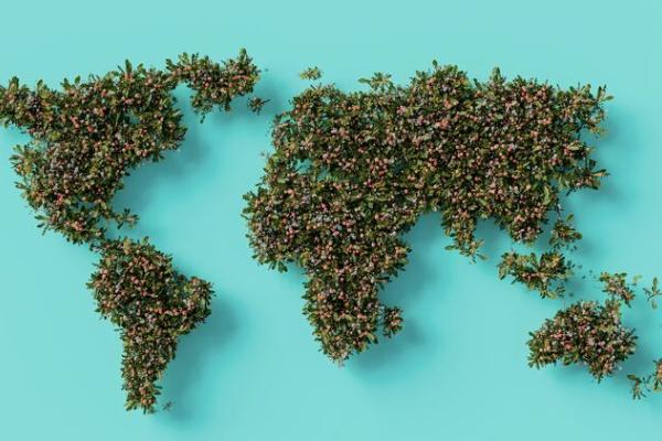 coursera earth
