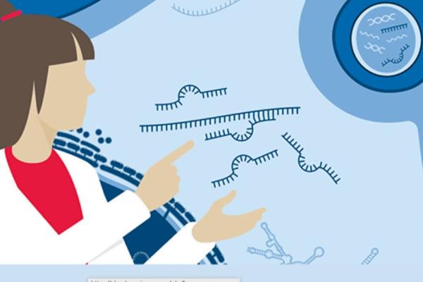illustration with scientist looking at rna