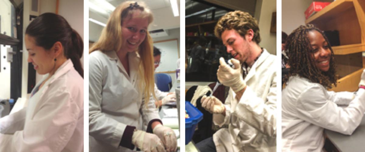 Four photos, each of a different undergraduate student in a lab