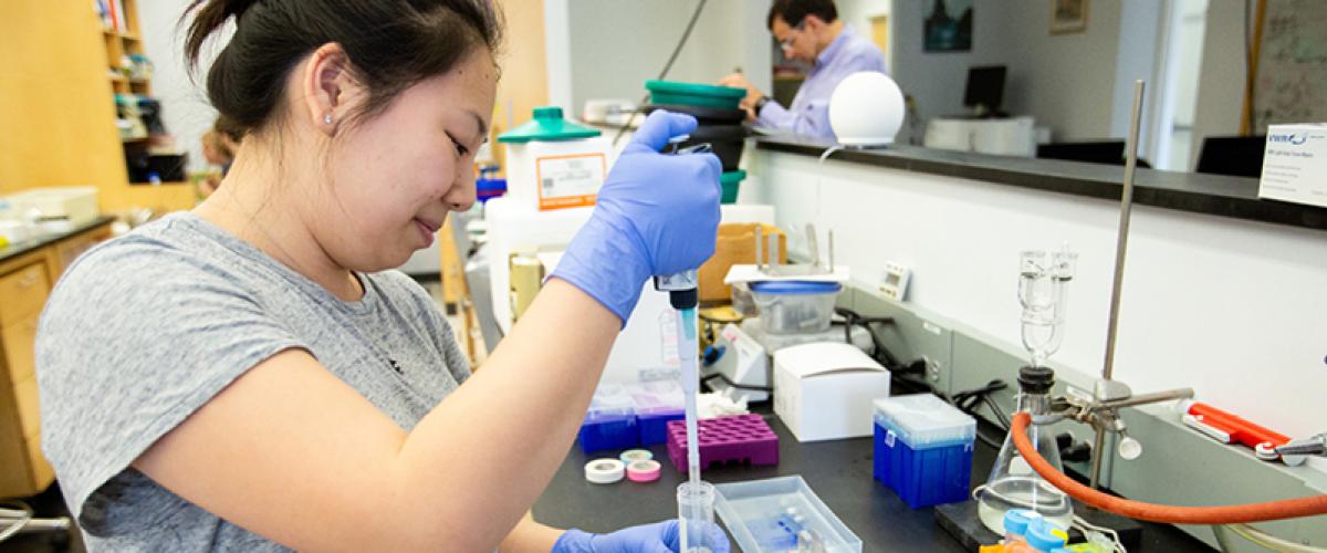 Biochemistry student pipetting liquid from a tray