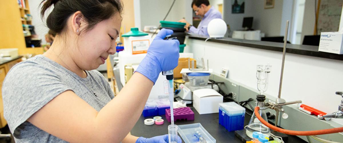 Biochemistry student pipetting liquid from a tray