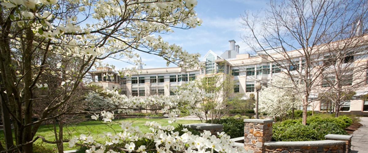 Levine Science Research Center in spring with flowers blooming on trees and on lawn