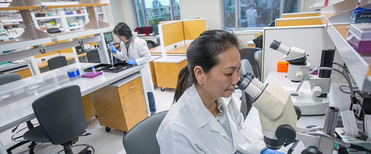 two women working in a lab. One looking through a microscope.