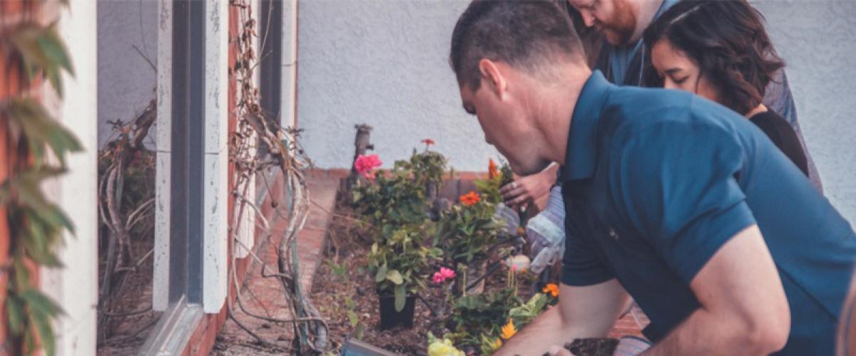 Students working in a window garden