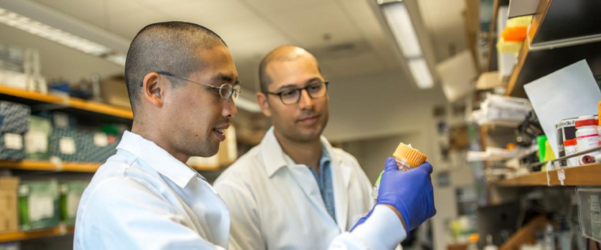 Two men in white coats in a lab looking at a sample. 