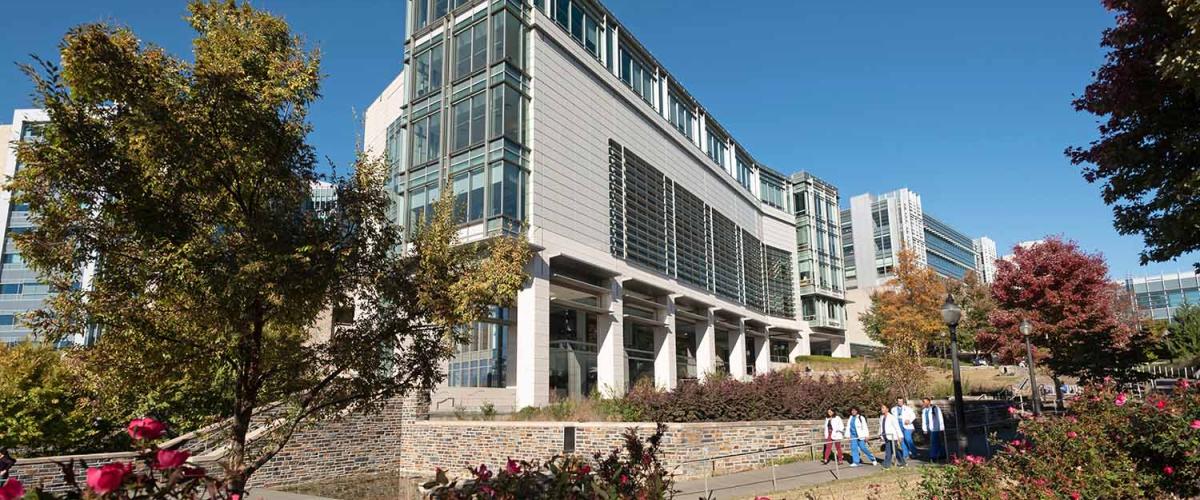 trent semans building