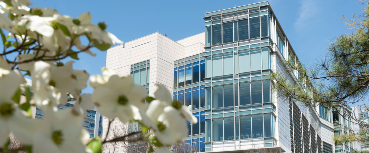 Front of the Trent Semans Center with dogwood blooms in the foreground.
