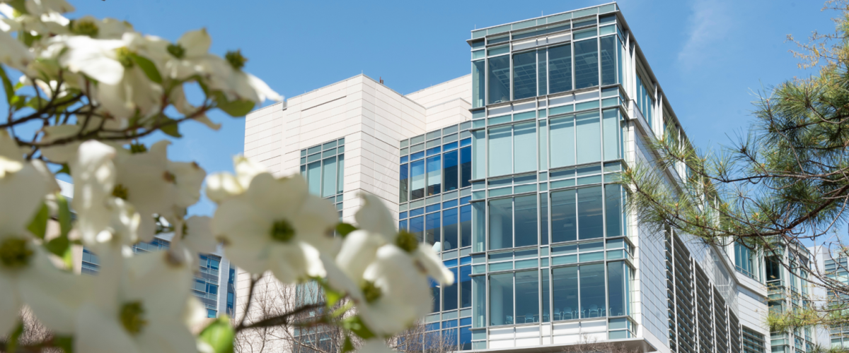 Front of the Trent Semans Center with dogwood blooms in the foreground. 