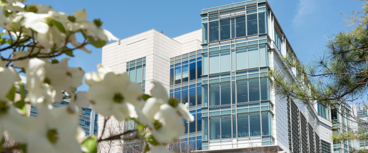 Trent Semans Center view through dogwood blossoms