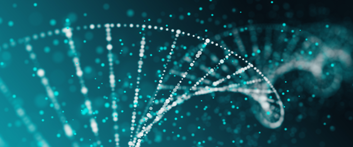 graphic - Double Helix as a spiderweb