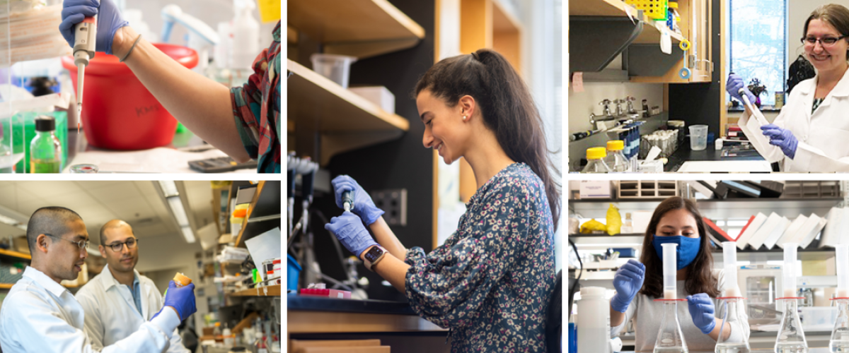 Collage of biomedical science PhD students 