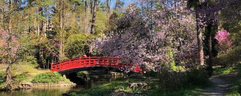 Sarah P Duke Gardens